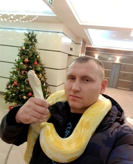 Дима