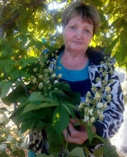Любовь